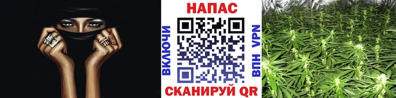 Купить закладки Троицк Каннабис Ganja